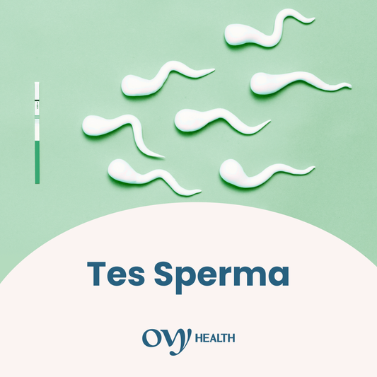 Tes Sperma